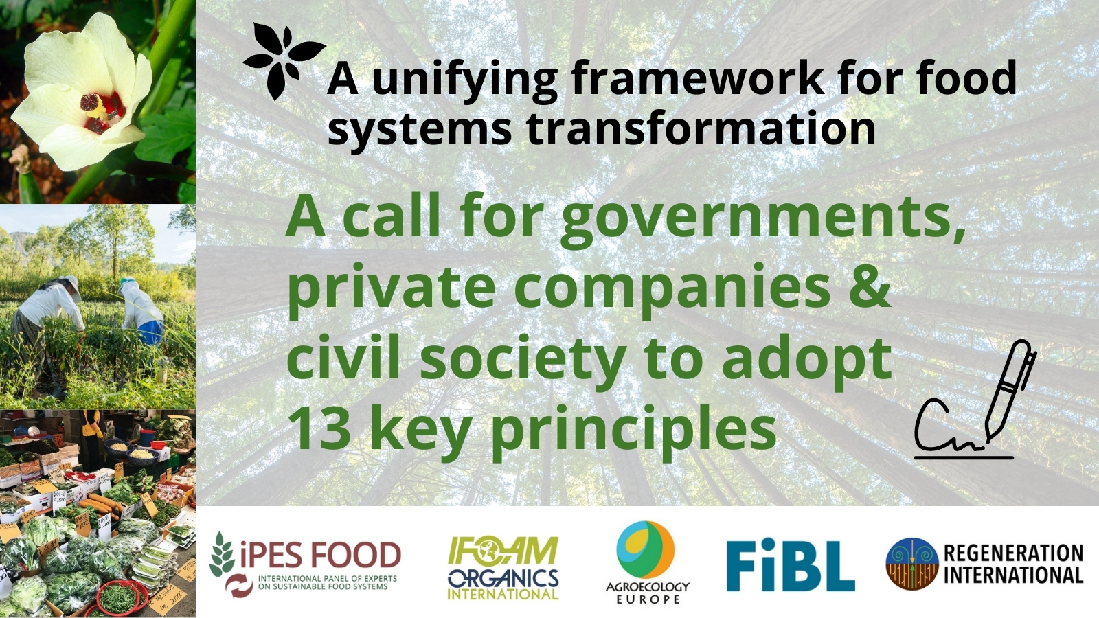 Un Food Systems Summit A Call For Truly Sustainable Agriculture 7043