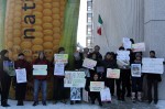 Protest gegen die Anbaupläne der mexikanischen Regierung für GVO-Mais.(Foto:Volker Gehrmann)