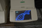 DNA Sequenz Labor