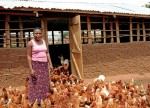Bäuerin in Uganda mit ihren Hühnern