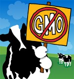 Ben and Jerry's: Our Non-GMO Standards